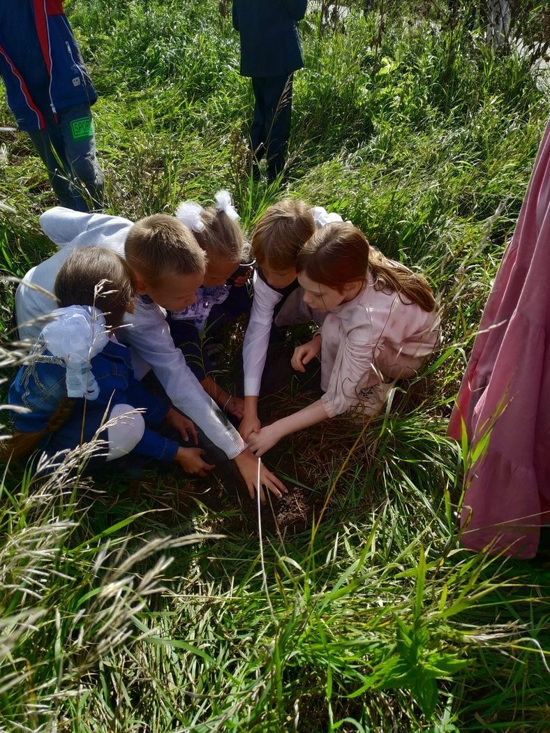 Занятия на природе